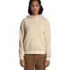 Women * | The North Face Women'S Sherpa Pullover Hoodie Rb6