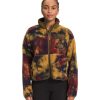 Women * | The North Face Women'S Jacquard Extreme Pile Full Zip Jacket