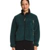 Women * | The North Face Women'S Extreme Pile Full Zip Jacket D7V