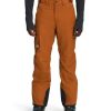 Tops * | The North Face Men'S Freedom Insulated Pants Regular Inseam Nf0A5Abu